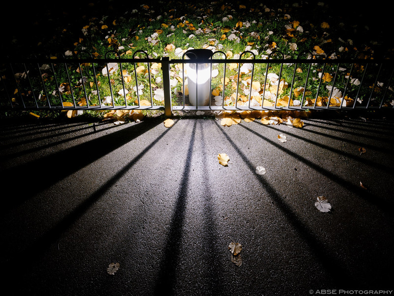 http://blog.absephotography.com/wp-content/uploads/2015/11/paris-france-colorslights-lines-autumn-grass-leaves-800x600.jpg