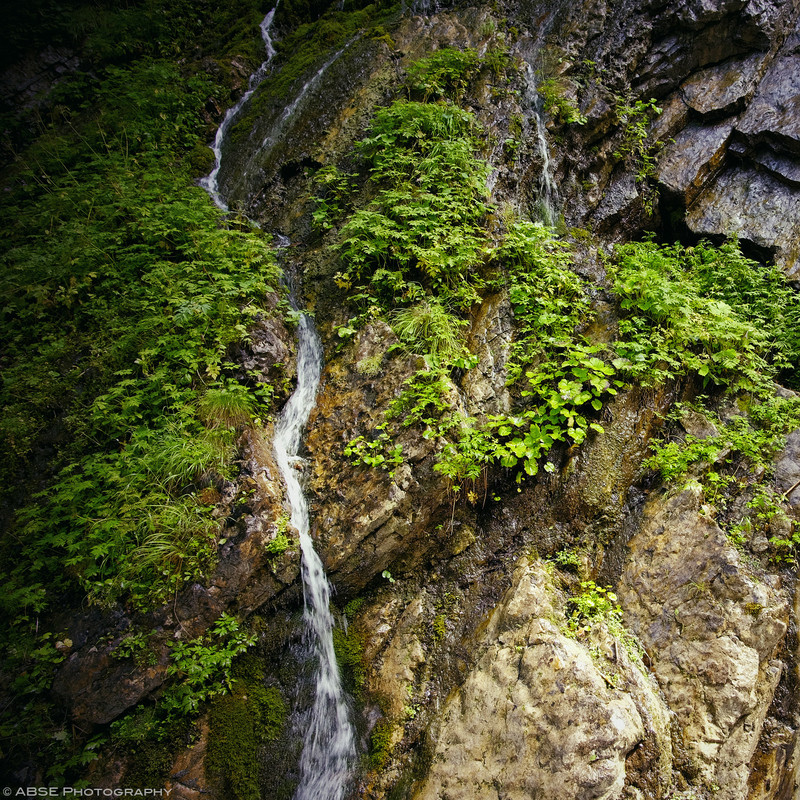 http://blog.absephotography.com/wp-content/uploads/2016/08/berchtesgaden-wimbach-klamm-water-rocks-waterfall-plants-green-fujifilm-800x800.jpg