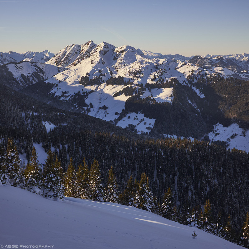 http://blog.absephotography.com/wp-content/uploads/2017/01/mountains-sunset-trees-snow-leogang-tirol-austria-800x800.jpg